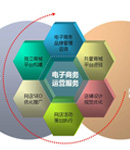 京东合作模式浅析 